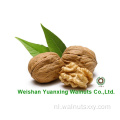 Walnut Kernels Lichte stukken geproduceerd
